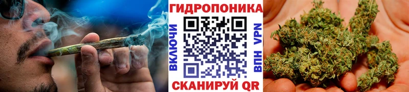 Купить закладки  Шлиссельбург  Шишки марихуана марихуана 